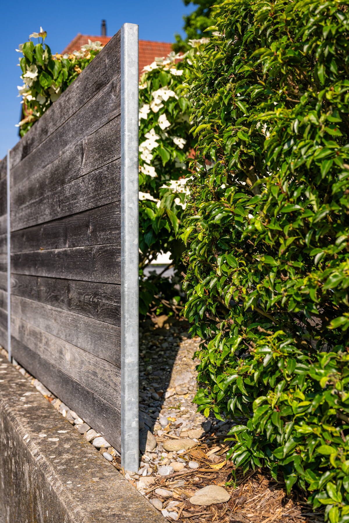 Sichtschutz im Garten Sichtschutz im Garten