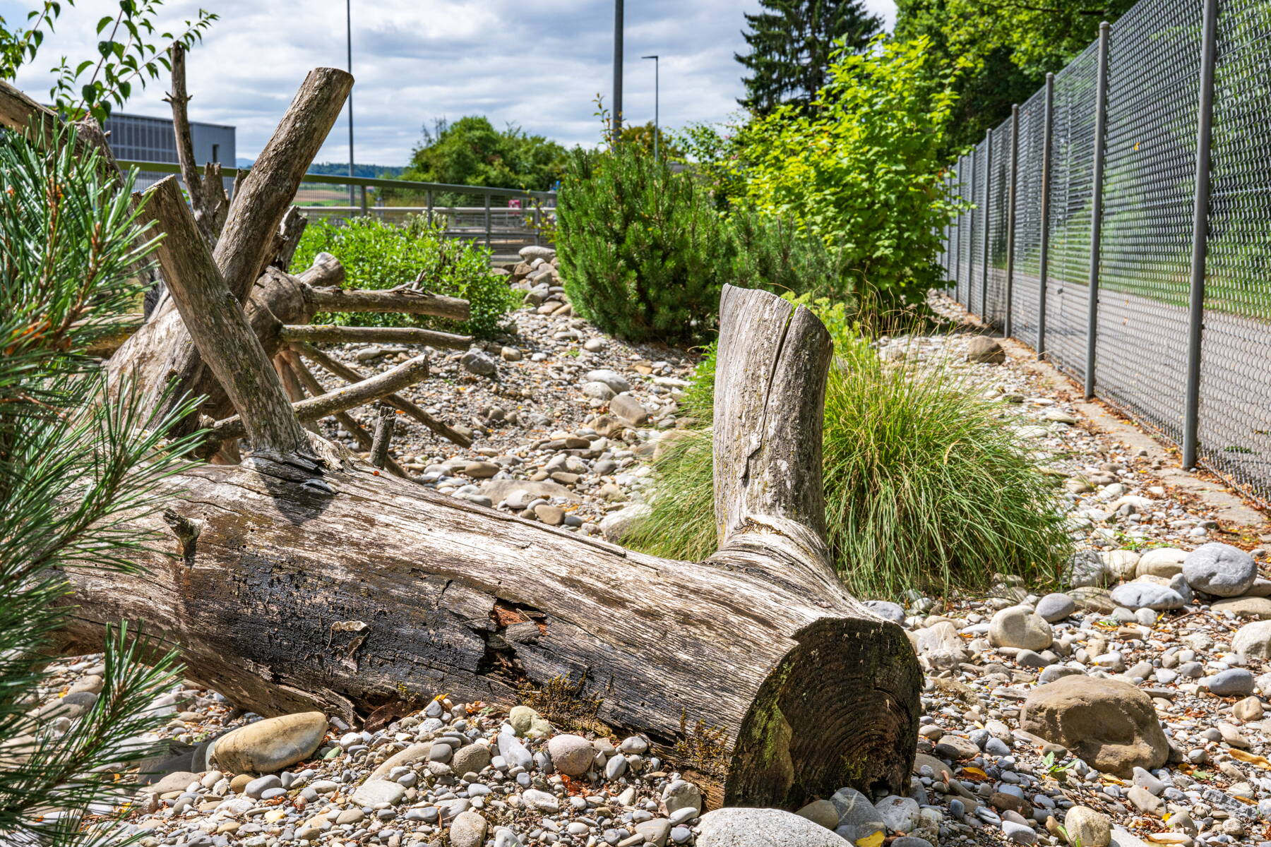 Trockenzonen im Garten
