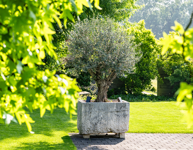 Gartenunterhalt Gartenunterhalt