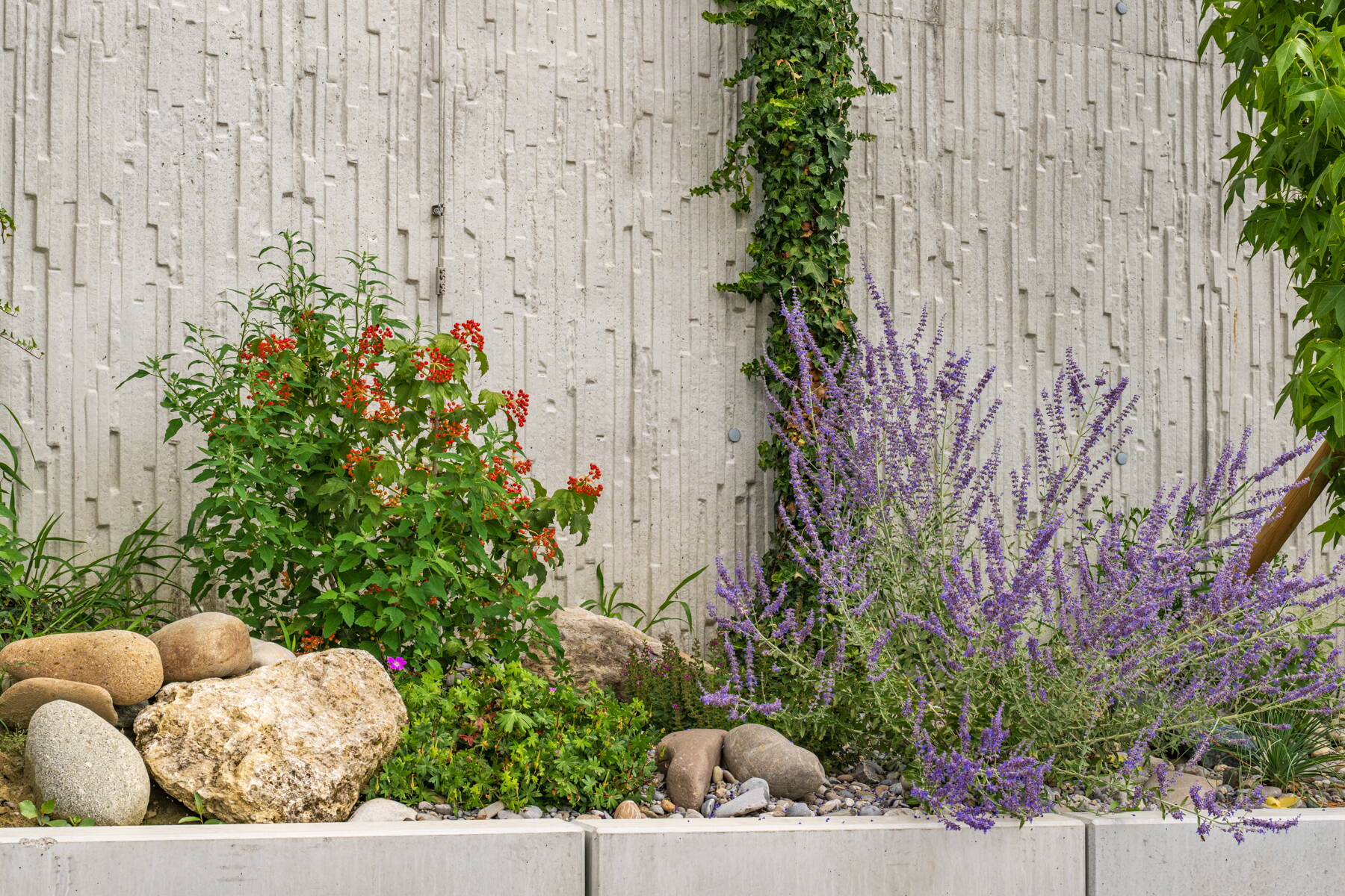 Trockenzonen im Garten