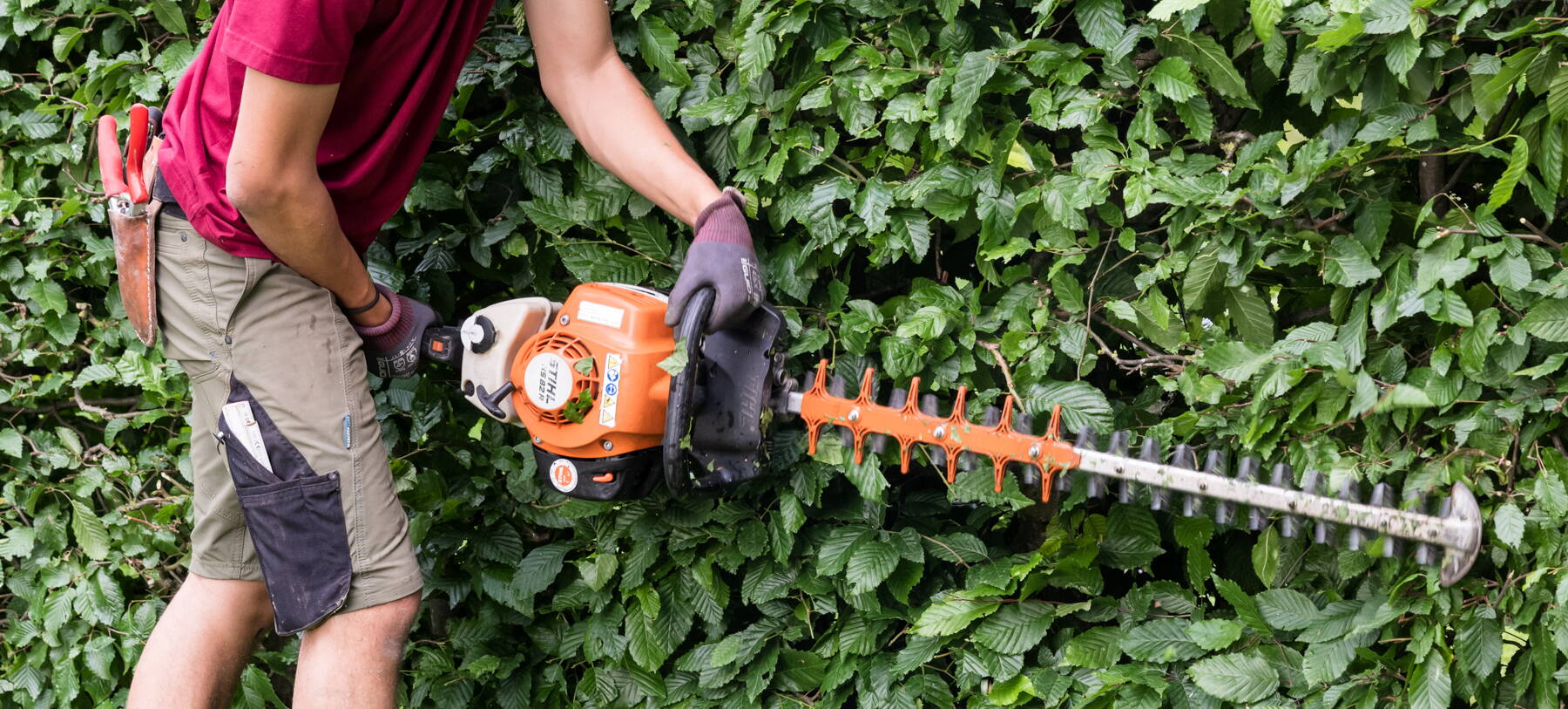 Gartenunterhalt Heckenschnitt Gartenunterhalt Heckenschnitt