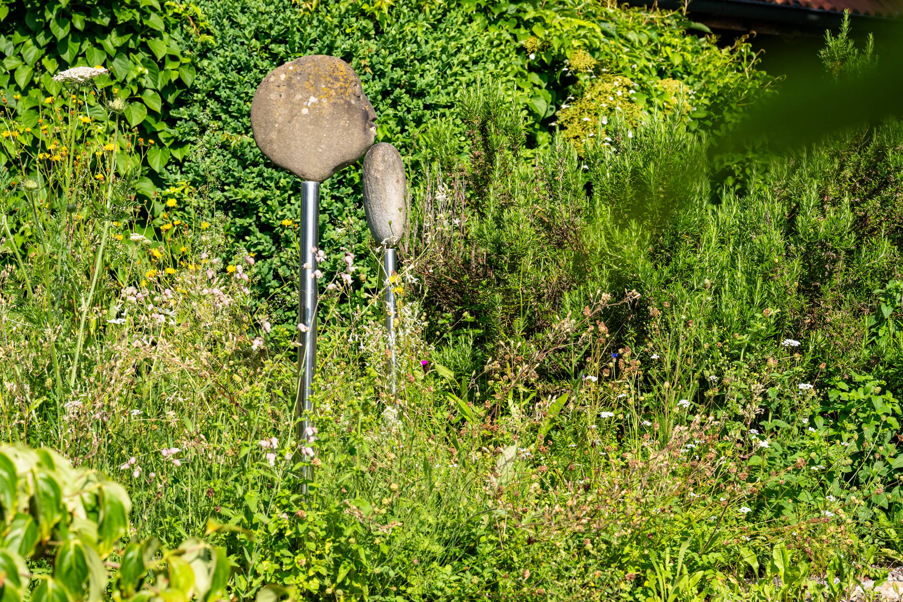 Blumenwiesen & Ökowiesen Blumenwiesen & Ökowiesen