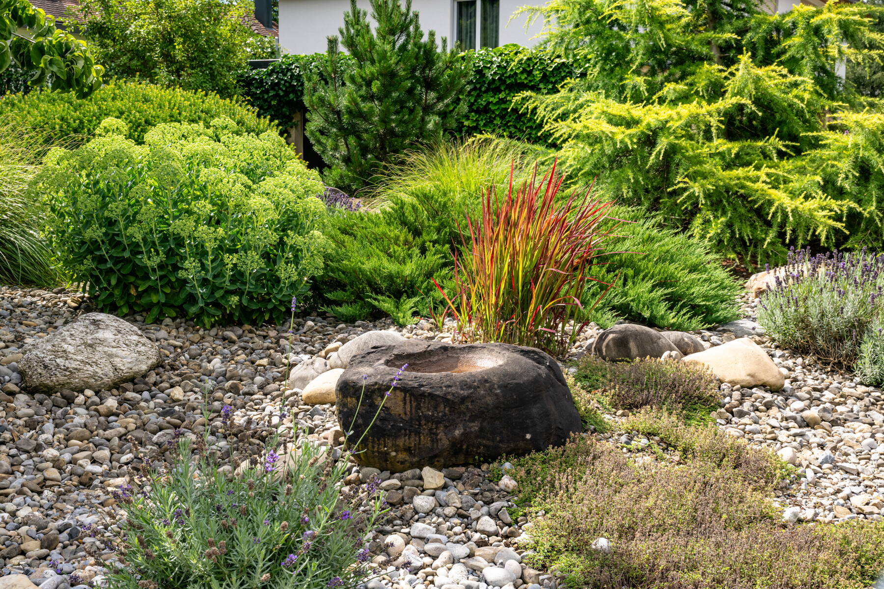 Trockenzonen im Garten Trockenzonen im Garten