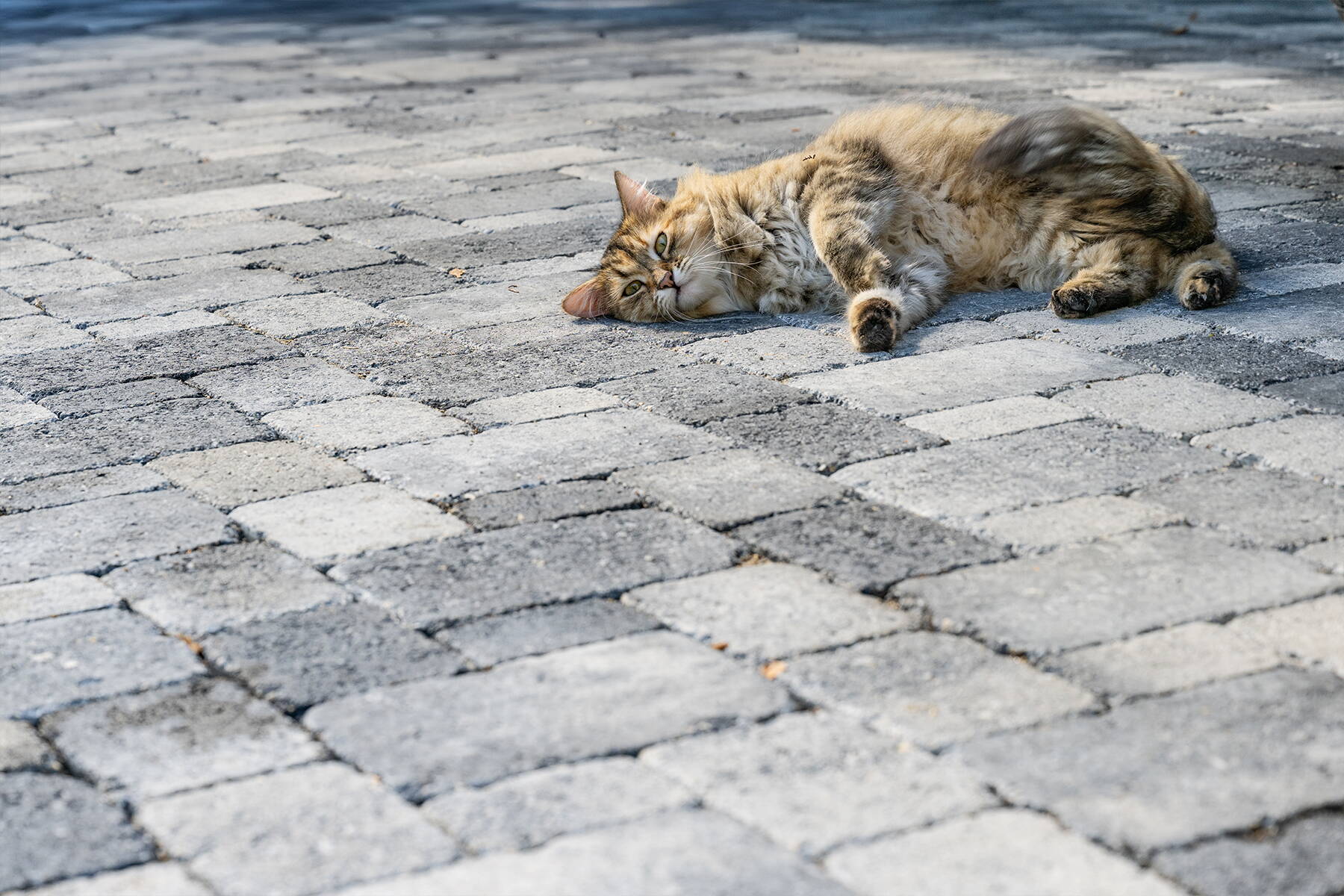 Gartengestaltung schöner Garten Gartengestaltung schöner Garten